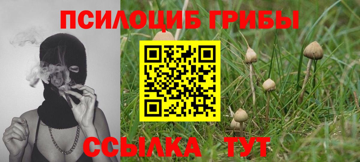Псилоцибиновые грибы прущие грибы  Вход с VPN  Ростов Великий 