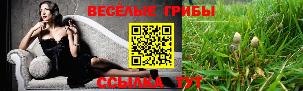 Псилоцибиновые грибы GOLDEN TEACHER Ростов Великий